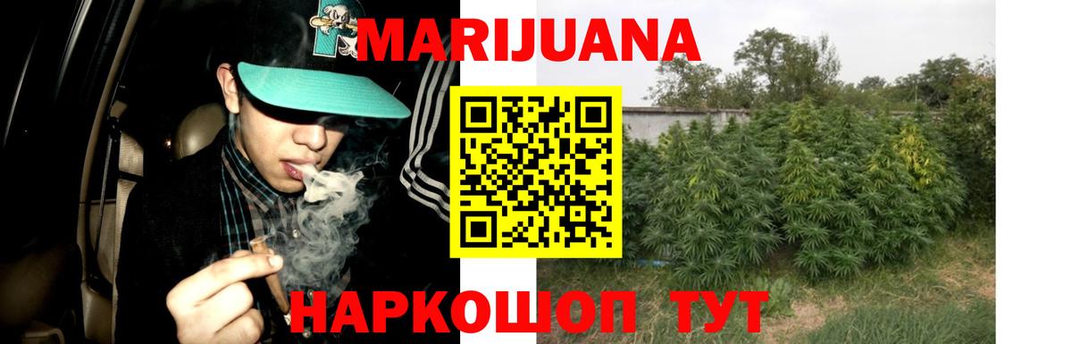 Конопля гибрид Коммунар